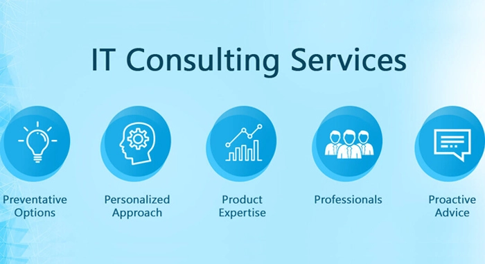 Information technology consultancy services